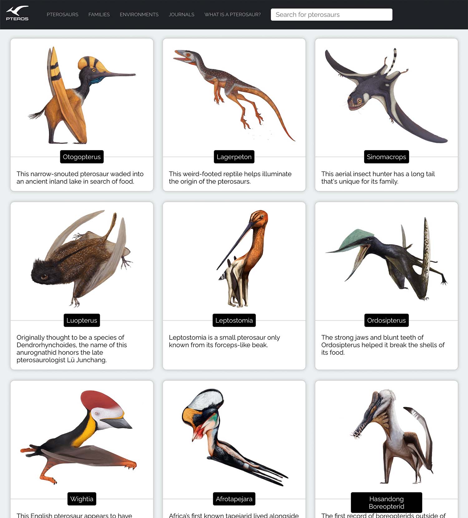 Pteros website