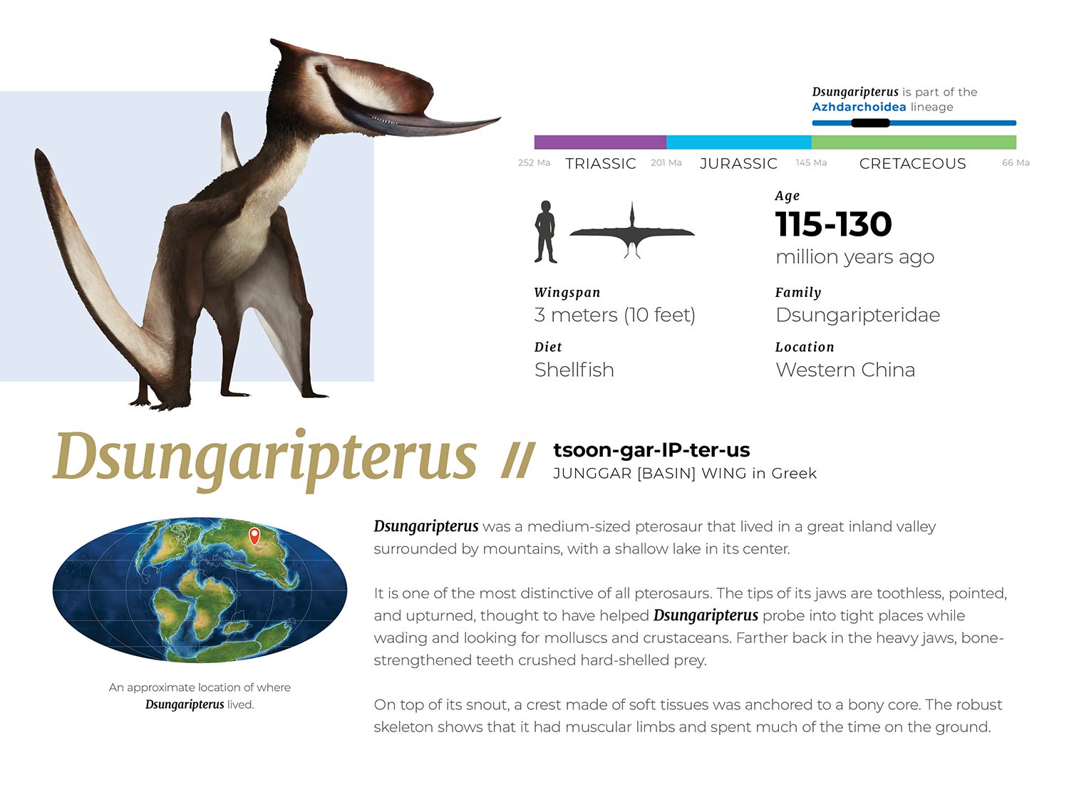 Dsungaripterus genus plaque